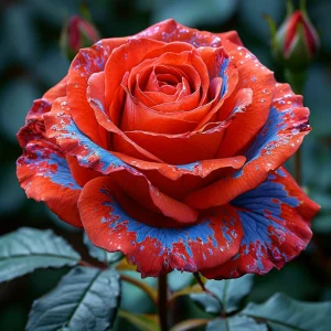 Роза Сикрет Гарден купить по цене от 619р. в интернет-магазине «Посадика» с доставкой почтой в в Нижняя Салдае и по всей России – [изображение №1].