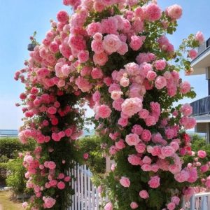 Роза Пастель Розе купить по цене от 605р. в интернет-магазине «Посадика» с доставкой почтой в в Нижняя Салдае и по всей России – [изображение №1].